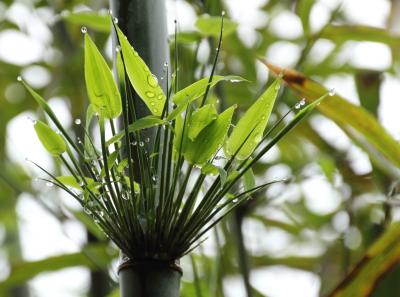 Img 9901 26653319635 O