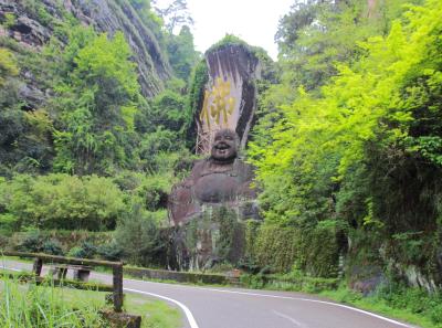 Img 9966 26049464853 O