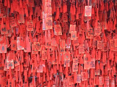 Img 9204 22745913331 O