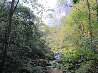 Img 9289 22708760266 O