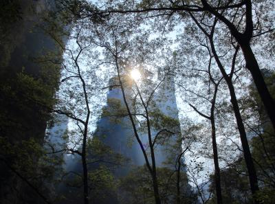 Img 9290 22708772866 O