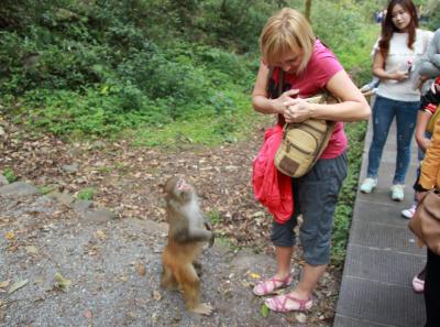 Img 9297 22721241112 O