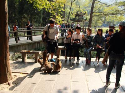 Img 9303 22546909270 O