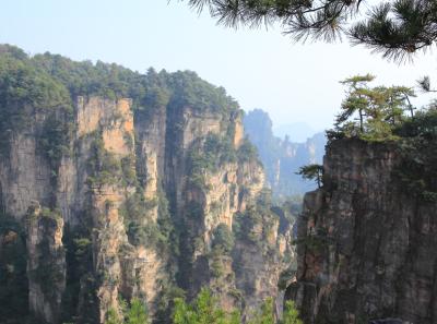 Img 9340 22721294972 O