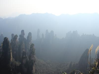 Img 9342 22746061401 O