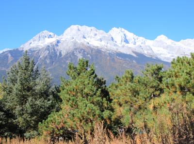 Img 9510 22709143216 O