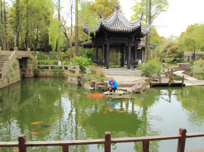 Img 8460 17252011805 O