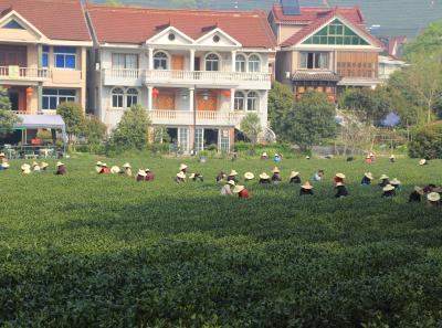 Img 8481 17064241728 O