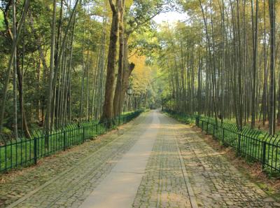 Img 8486 17251470151 O