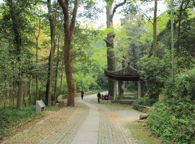 Img 8494 17044600897 O