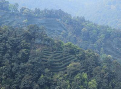 Img 8498 17065820239 O