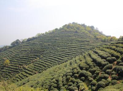 Img 8509 17226077586 O