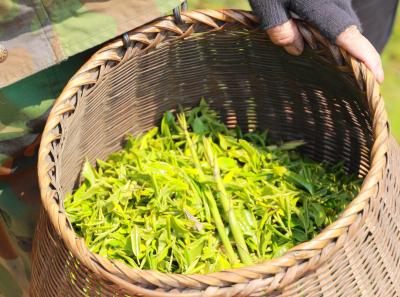 Img 8516 16629580494 O