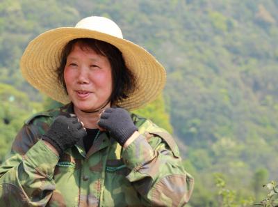 Img 8520 17044621637 O