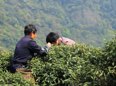 Img 8523 17065837059 O