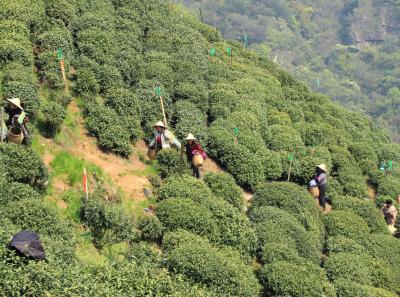 Img 8525 17064282338 O