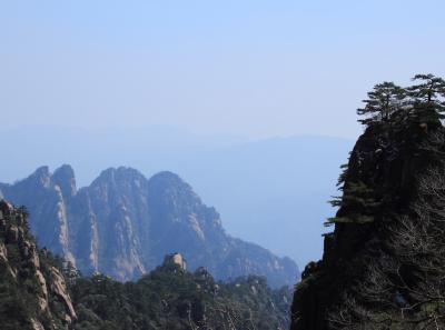 Img 8593 17251520211 O