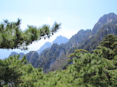 Img 8594 17065855949 O