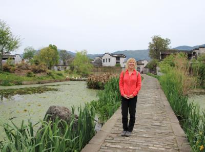 Img 8641 17064540440 O