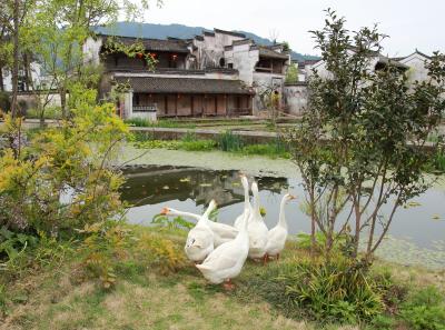 Img 8642 17252103805 O