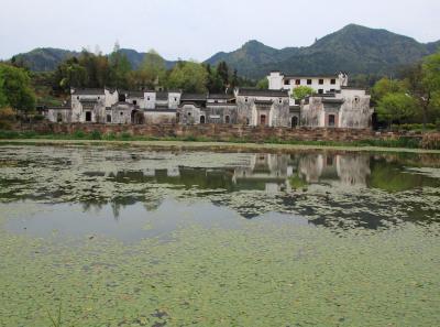 Img 8646 16629632964 O