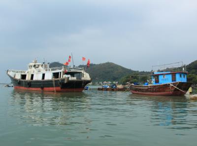 Img 7854 15543563507 O