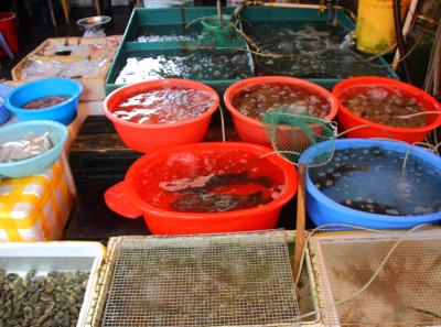 Img 7882 15730298462 O