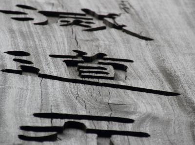 Img 7933 15705032336 O