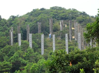 Img 7940 15726820431 O