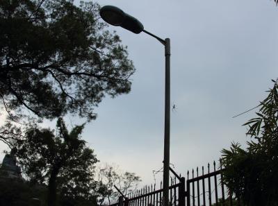 Img 7949 15705032136 O