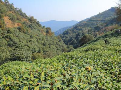 Img 8061 15726820051 O