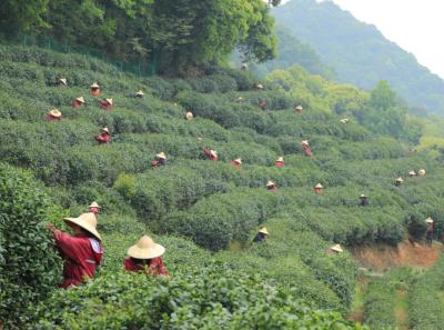 Img 7152 13935397642 O