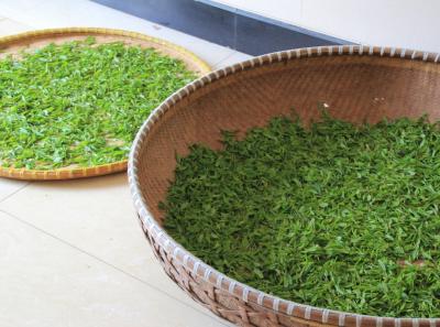 Img 7206 13935395182 O