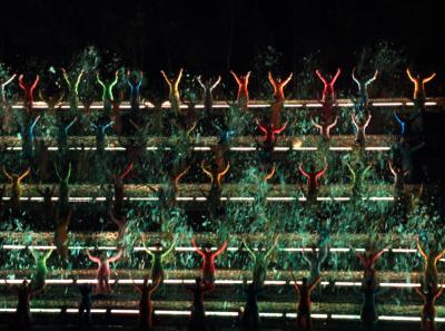 Img 7399 13935391131 O