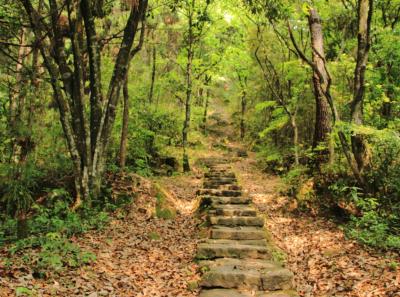 Img 7428 13935390201 O