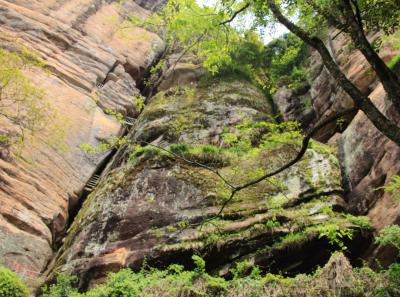 Img 7461 13935387381 O