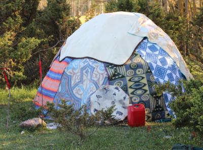 Img 2389 47941799892 O