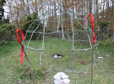 Img 2391 47941804697 O