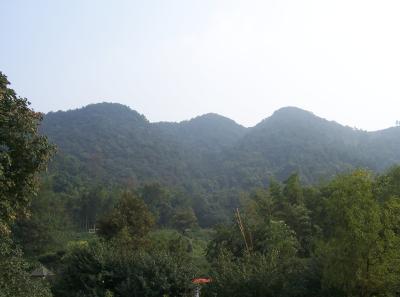 100 1854 14556590375 O