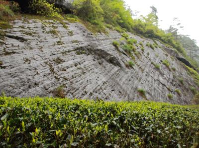 Img 0045 26559878292 O