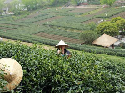 Img 7182 14533502486 O