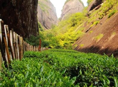 Img 7476 14370162817 O