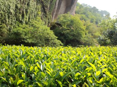 Img 7487 14555737032 O