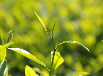 Img 7490 14370164827 O