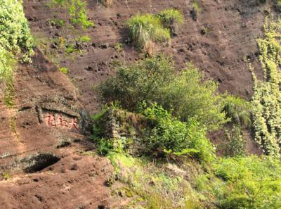 Img 7497 14370003188 O