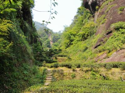 Img 7515 14553208861 O