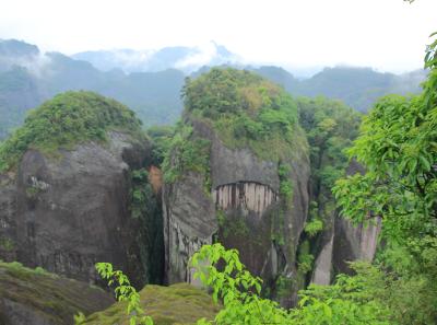 Img 9888 26653305935 O