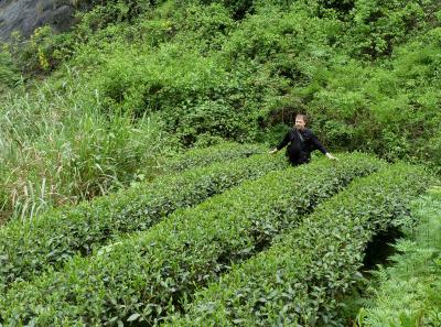 P1090623 14556625965 O