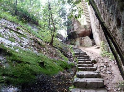 P1090797 14369971130 O