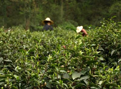 P4030898 14553276761 O